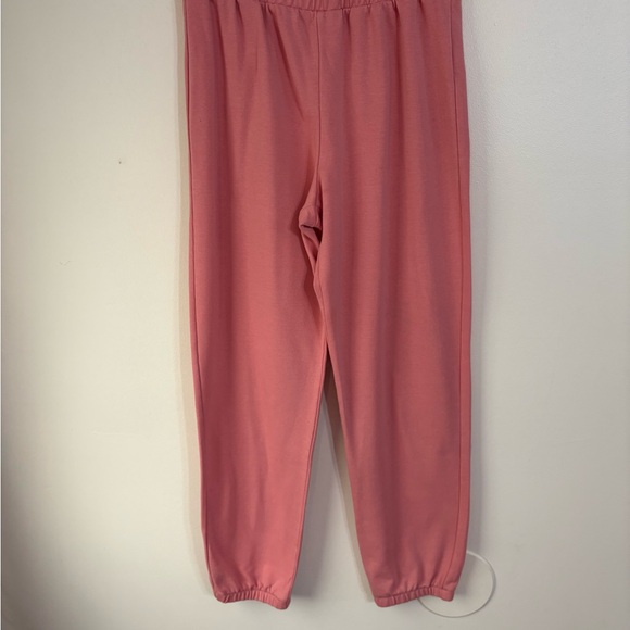 J. Crew Coral Pink soft sweatsuit 2 piece set Size Small - Picture 2 of 6